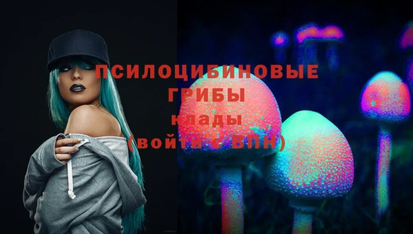 ГАЛЛЮЦИНОГЕННЫЕ ГРИБЫ Богородск